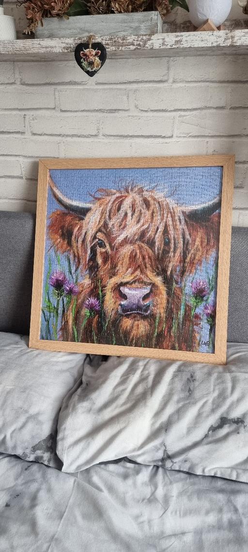 Buy & Sell Rawmarsh Rotherham - Photos for highland cow jigsaw picture
