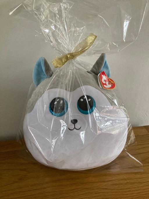 Buy & Sell Sedgley Dudley - Photos for Squish a boo’s teddy