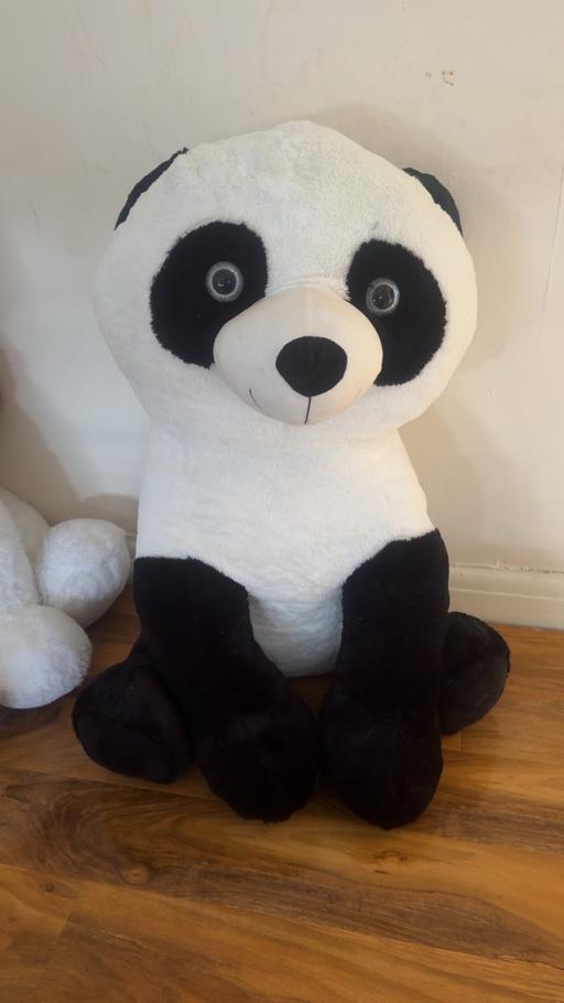 Buy & Sell Hayes Hillingdon - Photos for Teddy