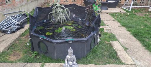 Buy & Sell Harold Hill Havering - Photos for Pond