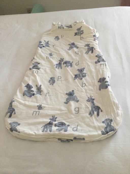 Buy & Sell Shildon County Durham - Photos for Baby’s sleeping bag 0-6months