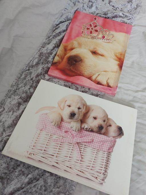 Buy & Sell Chapeltown Sheffield - Photos for 2 cute dog canvas pictures