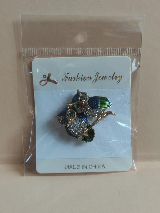 Buy & Sell Grafton Street Industrial Estate West Northamptonshire - Photos for New beautiful owl brooch