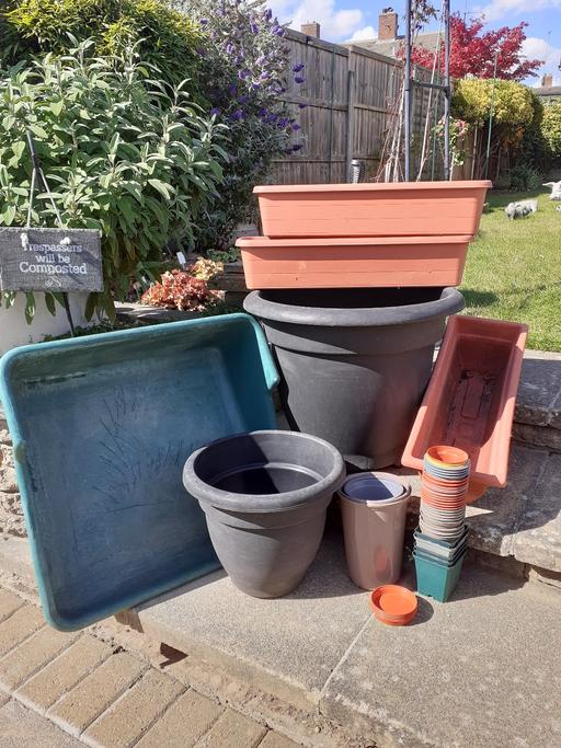Buy & Sell Leagrave Luton - Photos for Plastic Plant Pots/Tubs(LU33BY)