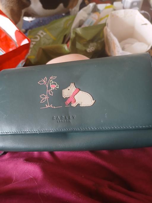 Buy & Sell Netherton Dudley - Photos for radley purse