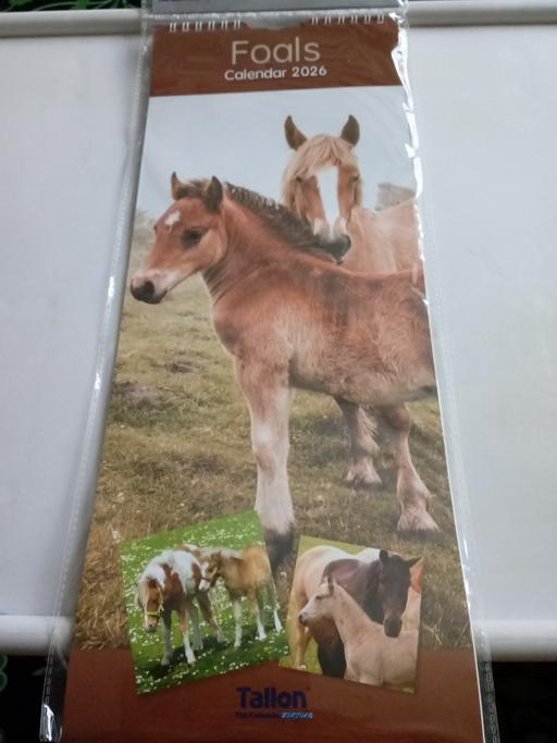 Buy & Sell Horncastle East Lindsey - Photos for brand new 2026 calendar