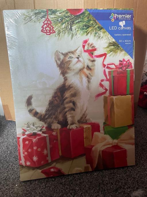 Buy & Sell Heath Town Wolverhampton - Photos for LED Christmas Cat Canvas