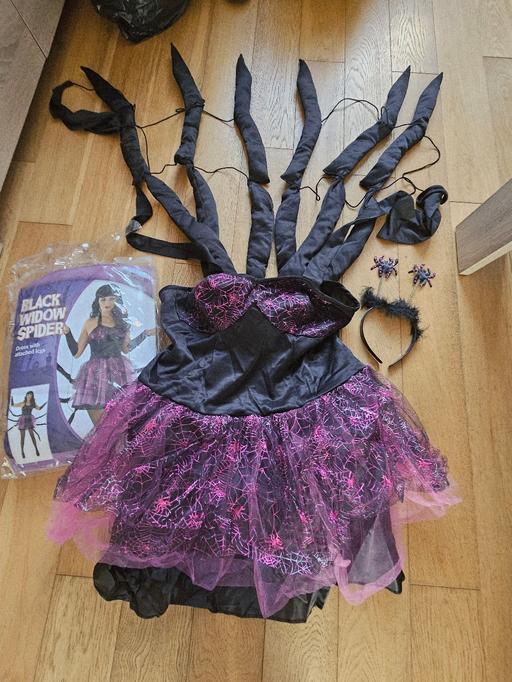 Buy & Sell Newton Doncaster - Photos for Adult fancy dress outfit. size large.