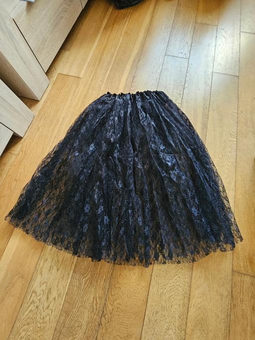 Buy & Sell Newton Doncaster - Photos for Fancy dress skirt, size 16..NEW