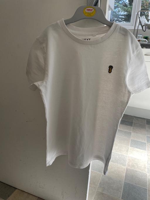 Buy & Sell Laleham Spelthorne - Photos for Next T Shirt
