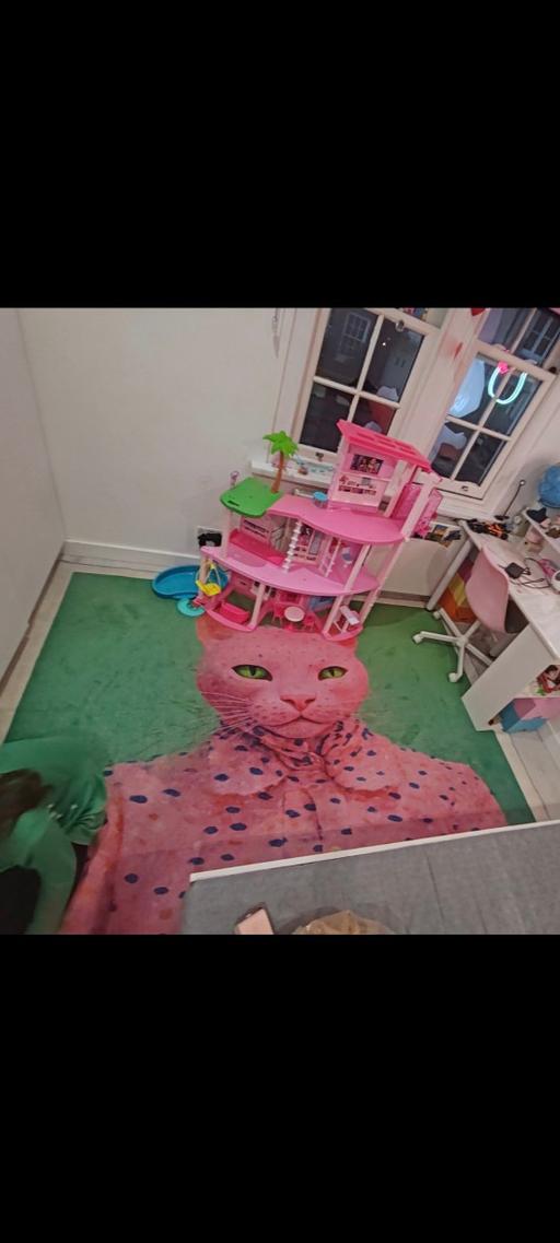 Buy & Sell Tooting Bec South West London - Photos for Rug