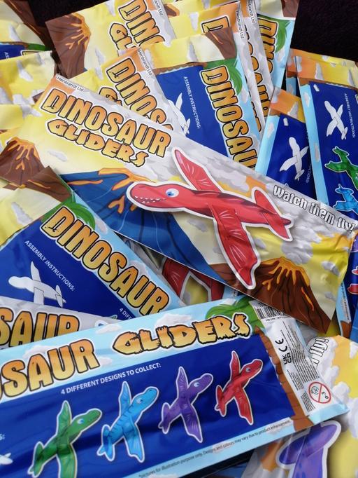 Buy & Sell Dosthill Tamworth - Photos for DINOSAUR GLIDERS