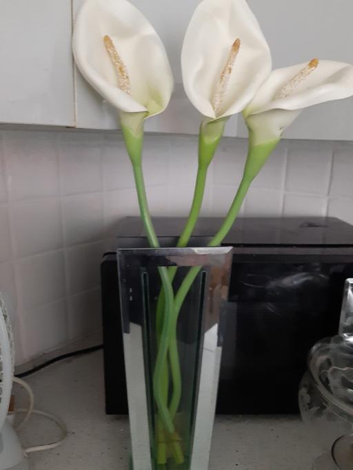 Buy & Sell South Hylton Sunderland - Photos for vase with flowers