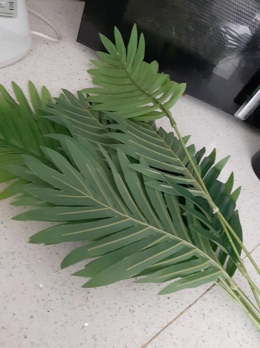Buy & Sell South Hylton Sunderland - Photos for leaves