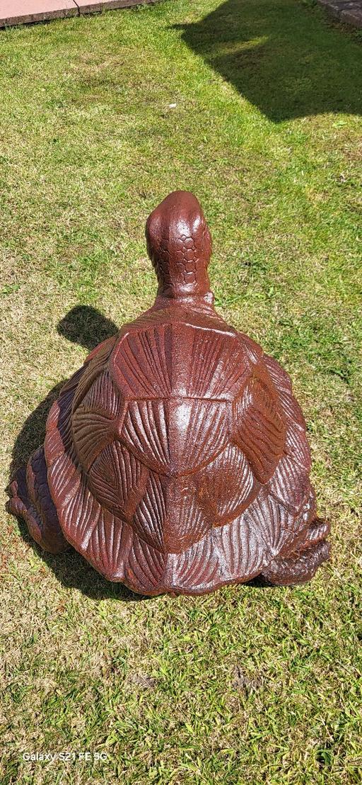 Buy & Sell Bloxwich Walsall - Photos for LARGE TURTLE