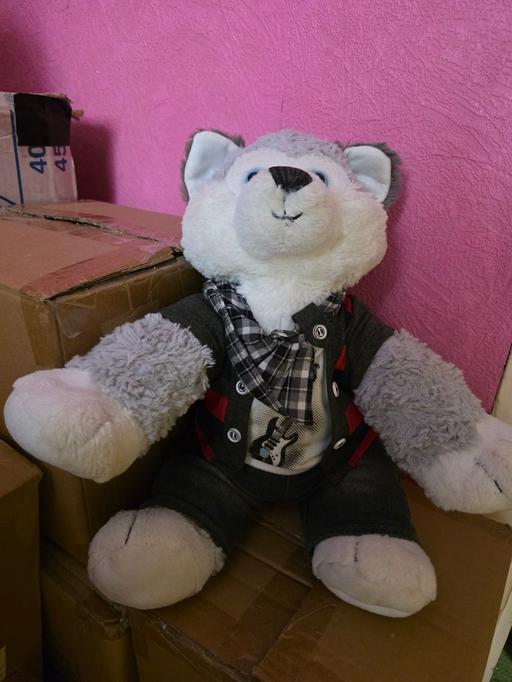 Buy & Sell Blackpool Town Centre Blackpool - Photos for Build a bear husky with outfit