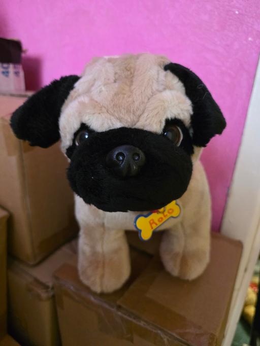 Buy & Sell Blackpool Town Centre Blackpool - Photos for Build a bear dog