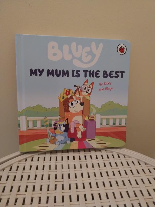 Buy & Sell Essington Wolverhampton - Photos for Brand New. Bluey Board Book