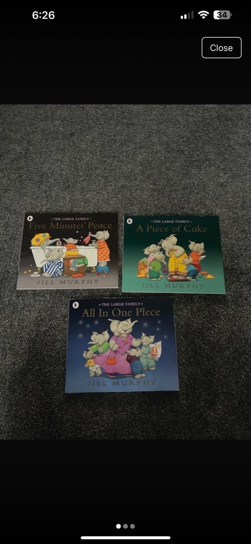 Buy & Sell Heath Town Wolverhampton - Photos for The large family book