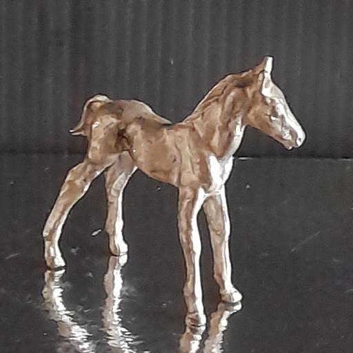 Buy & Sell Walton-Le-Dale South Ribble - Photos for PEWTER MODEL 🐎