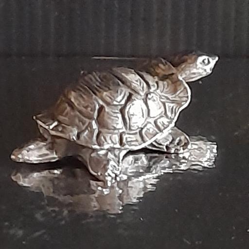 Buy & Sell Preston South Ribble - Photos for PEWTER MODEL 🐢