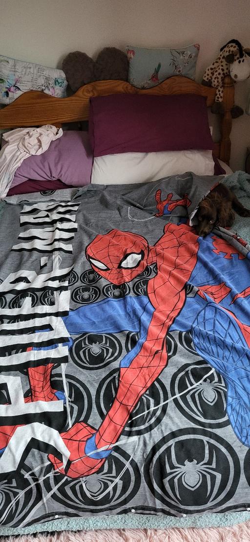 Buy & Sell Radcliffe Bury - Photos for spiderman single quilt cover