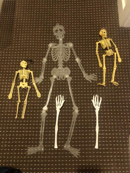 Buy & Sell Longley Sheffield - Photos for Halloween bits