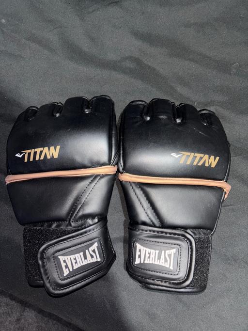Buy & Sell Heswall Wirral - Photos for Everlast mmma mitt