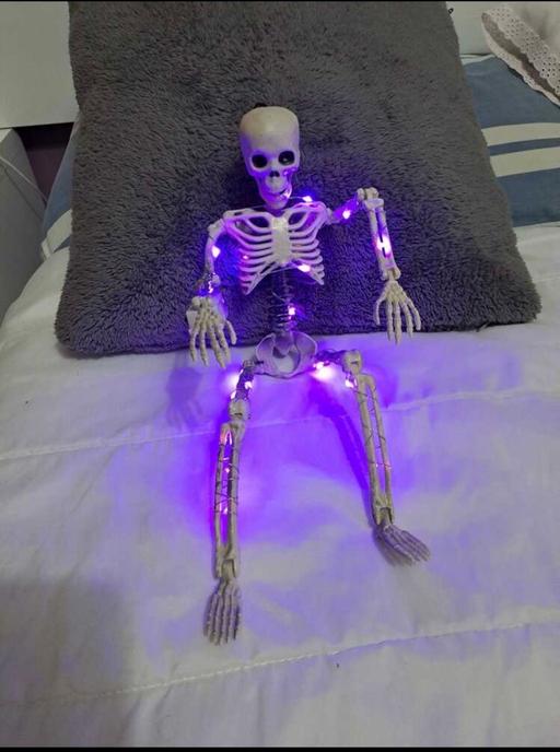 Buy & Sell Heywood Distribution Park Rochdale - Photos for Light up LED Skeleton moveable