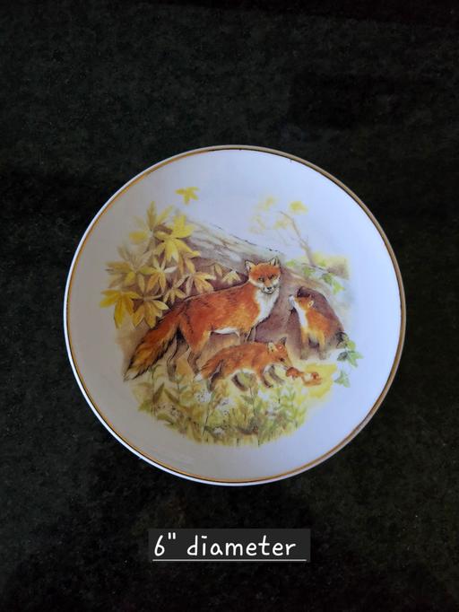 Buy & Sell Rowley Regis Sandwell - Photos for Wildlife of Britain Foxes plate