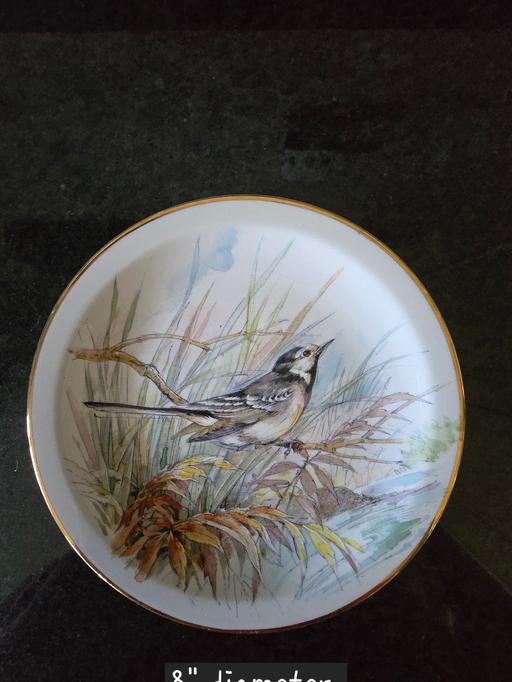 Buy & Sell Rowley Regis Sandwell - Photos for Sampsonite Churchill Bird plate