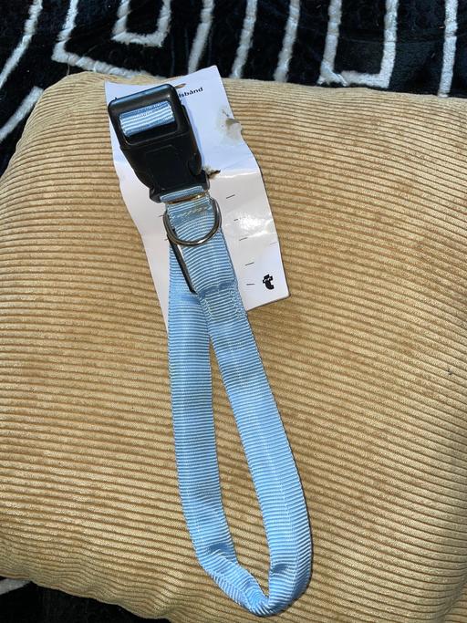 Buy & Sell Yardley Wood Birmingham - Photos for New Flashing Dogs Collar 