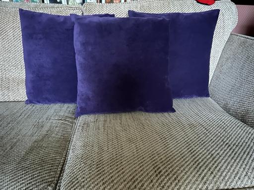 Buy & Sell Brooklands Manchester - Photos for 3 purple soft feel velvet like cushions