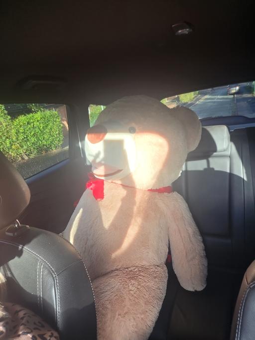 Buy & Sell Wolverley Wyre Forest - Photos for giant teddy bear in immaculate condition.