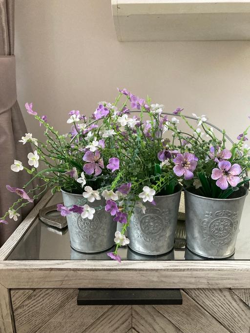Buy & Sell Sedgley Dudley - Photos for Flower pot
