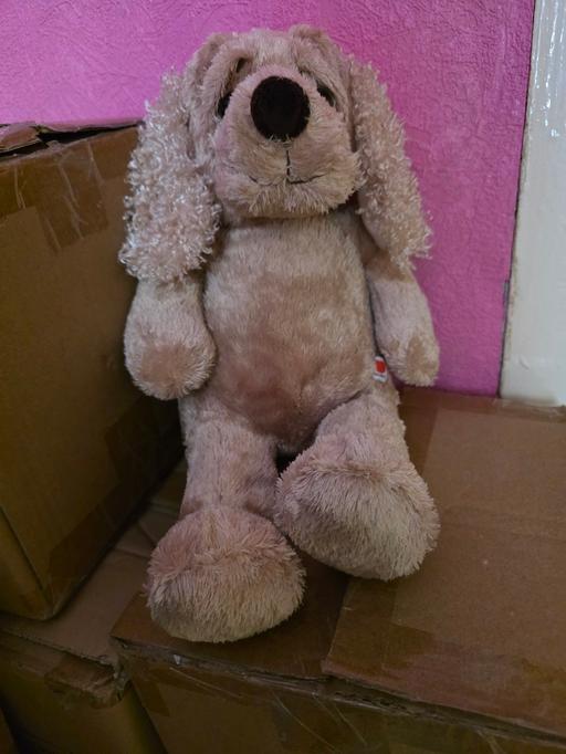 Buy & Sell Blackpool Town Centre Blackpool - Photos for Design a bear dog