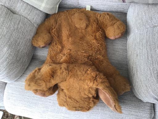 Buy & Sell Essington Wolverhampton - Photos for Dog hot water bottle