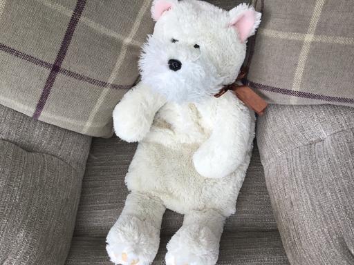 Buy & Sell Essington Wolverhampton - Photos for White dog hot water bottle