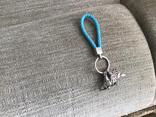 Buy & Sell Essington Wolverhampton - Photos for New key ring