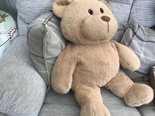 Buy & Sell Essington Wolverhampton - Photos for Nice teddy