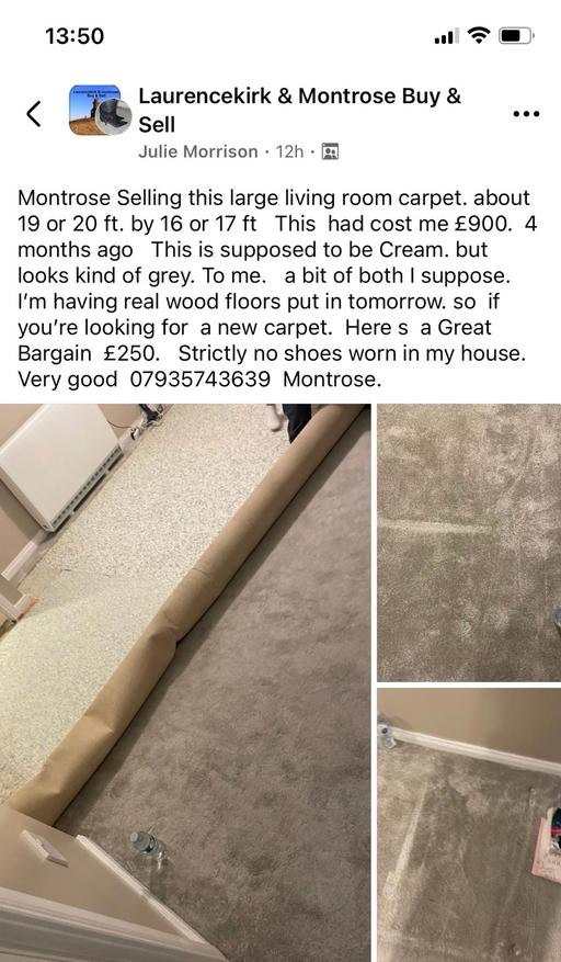 Buy & Sell Montrose Angus - Photos for Carpet