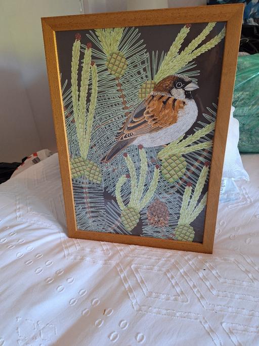 Buy & Sell Edgbaston Birmingham - Photos for bird print