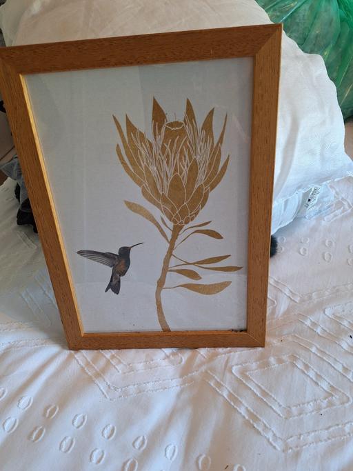 Buy & Sell Edgbaston Birmingham - Photos for bird print