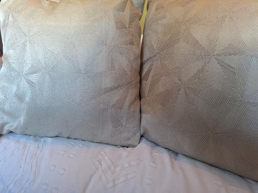Buy & Sell Edgbaston Birmingham - Photos for cushions x 2