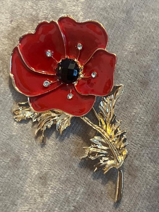 Buy & Sell Ovingdean Brighton - Photos for Lovely poppy brooch