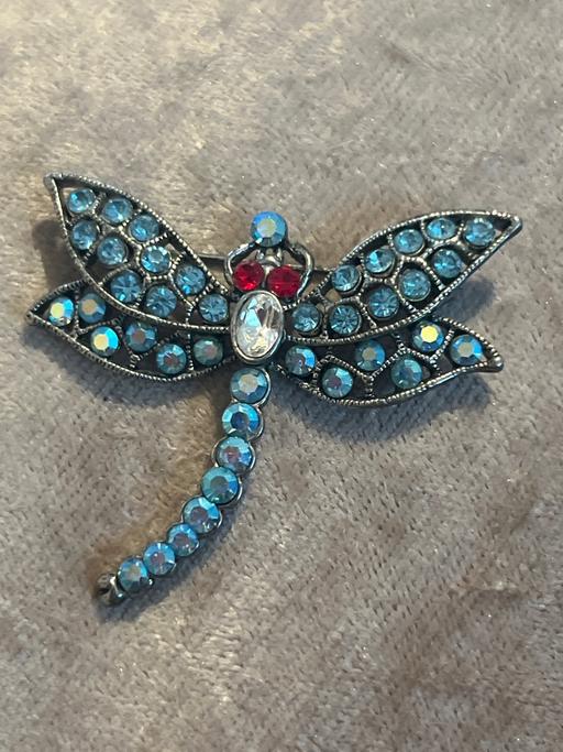 Buy & Sell Ovingdean Brighton - Photos for Lovely brooch