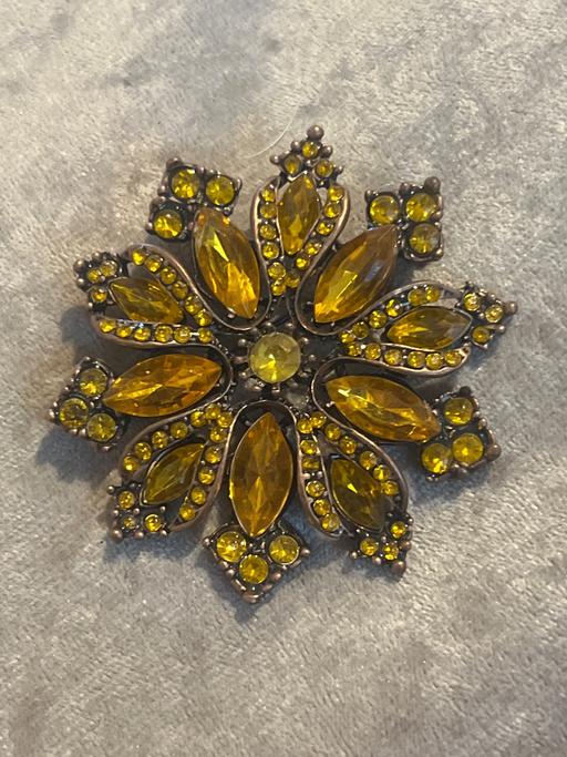 Buy & Sell Ovingdean Brighton - Photos for Lovely brooch