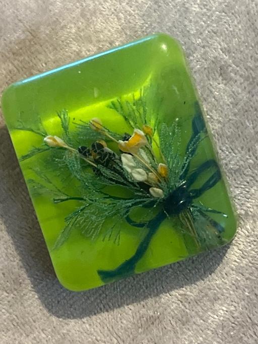 Buy & Sell Rottingdean Brighton - Photos for Lovely vintage resin brooch