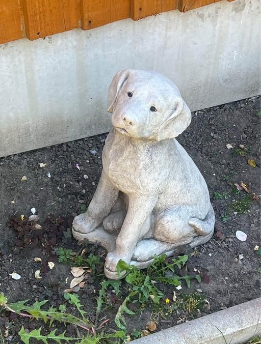Buy & Sell Hayes Hillingdon - Photos for Garden dog statue