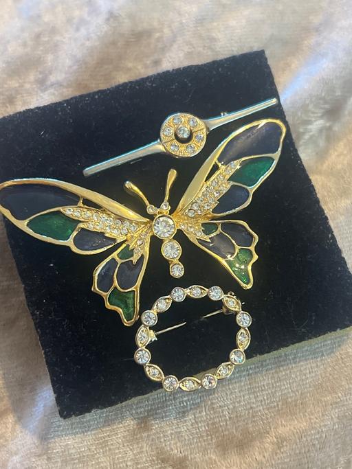 Buy & Sell Rottingdean Brighton - Photos for Lovely brooches